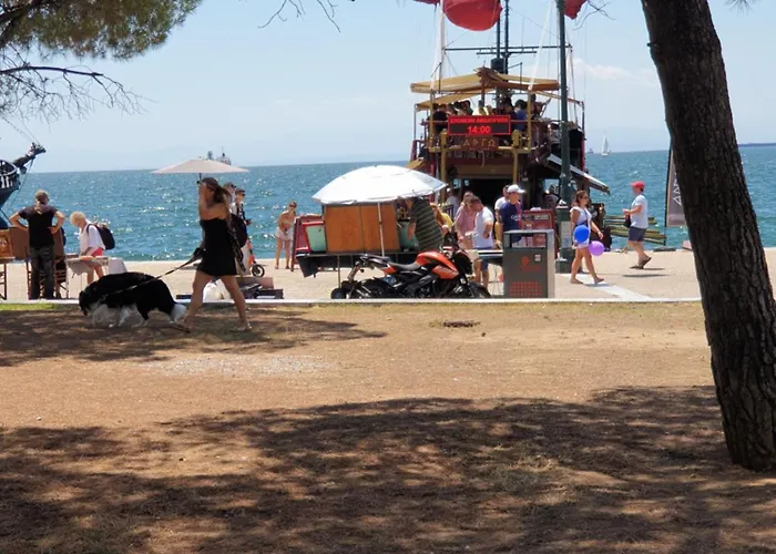 Konstantinos Apartmend Chalkidiki Daire